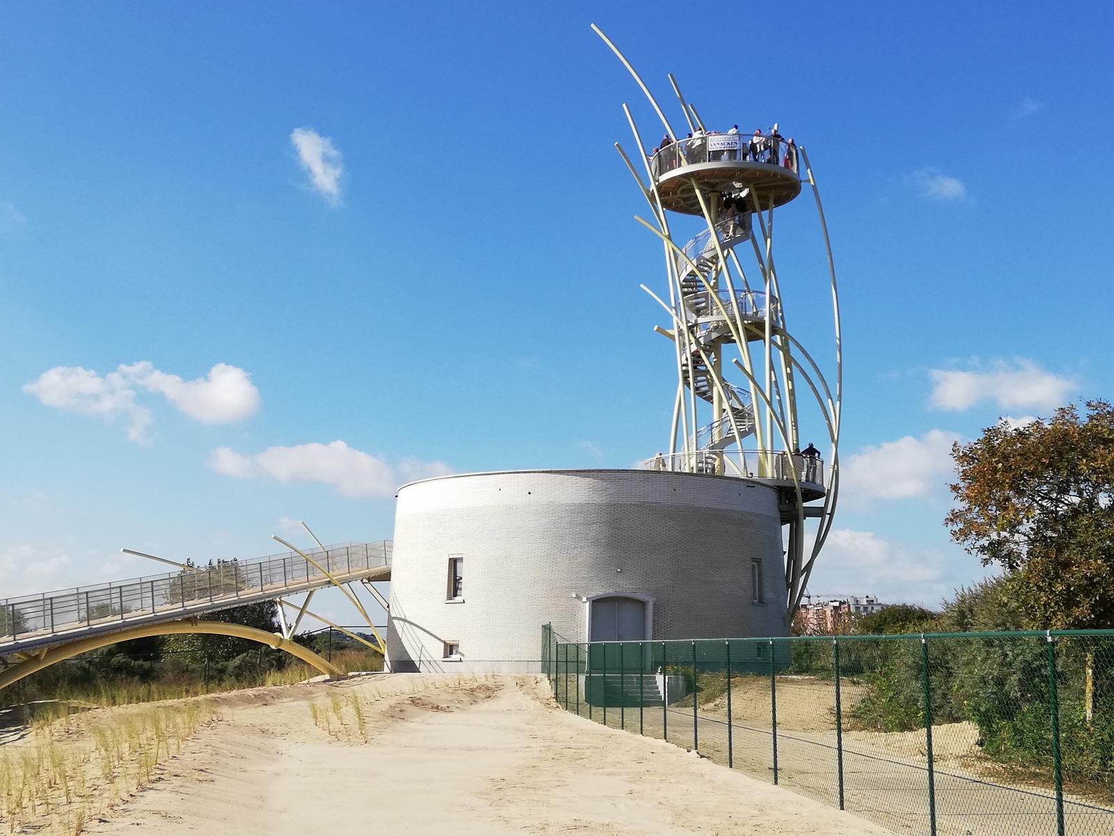 Steve Bauwens - Warandetoren 5
